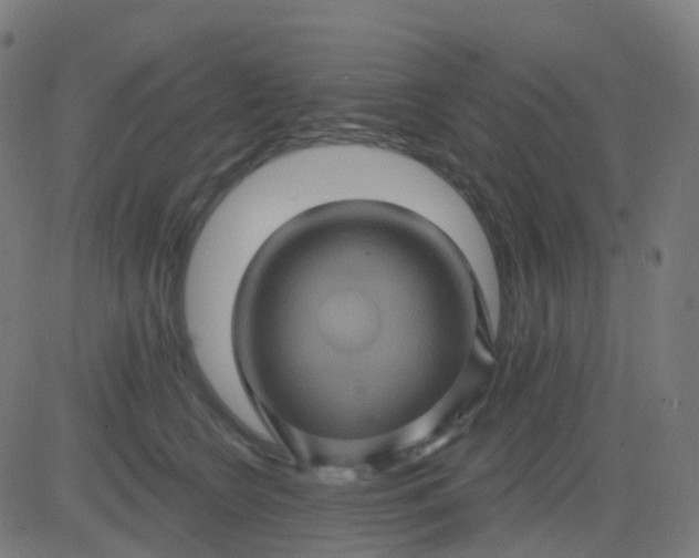 X0000082760566200702091956