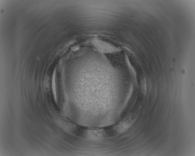 X0000082760571200702091956