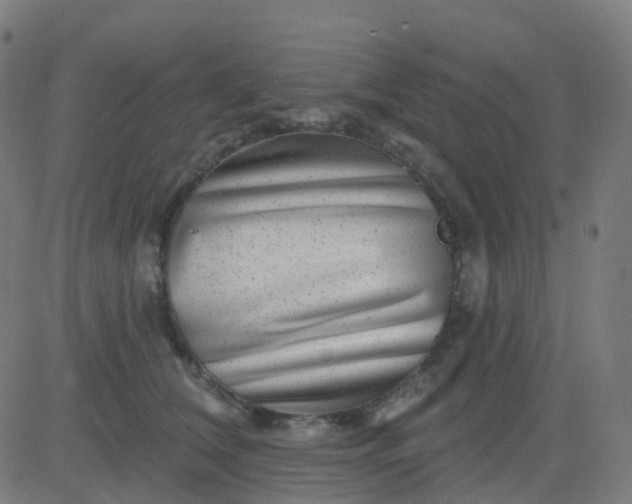 X0000082760612200702091955