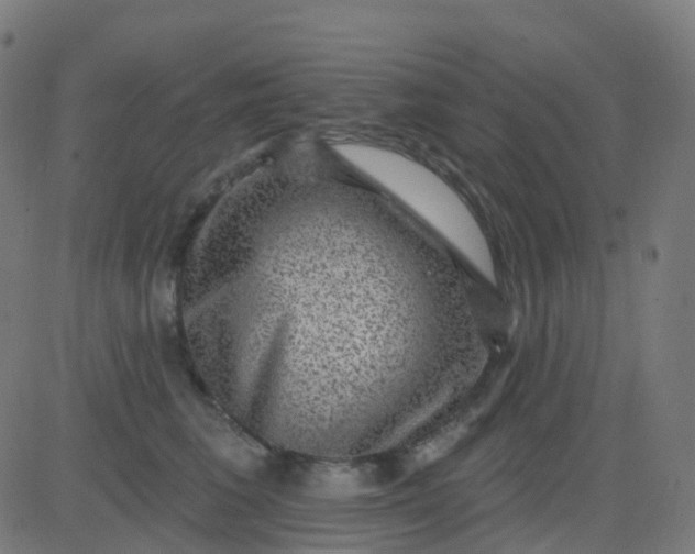 X0000082760613200702091955