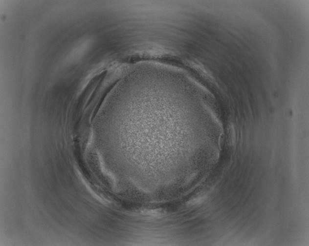 X0000082760638200702091954