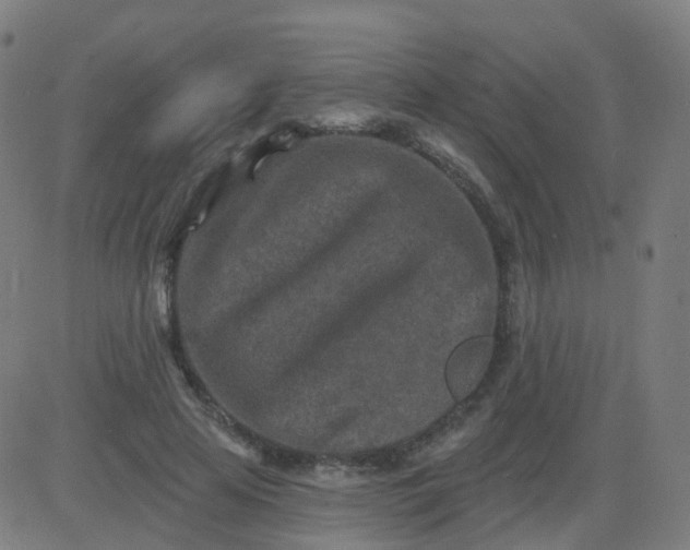 X0000082760641200702091954