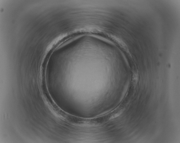 X0000082760678200702091954