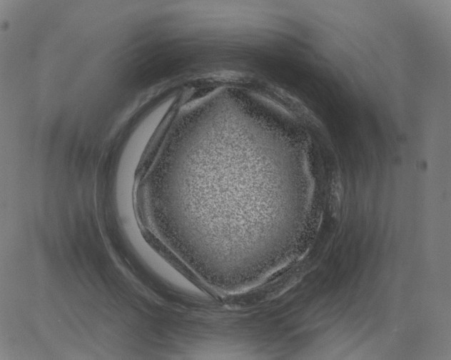 X0000082760734200702091953