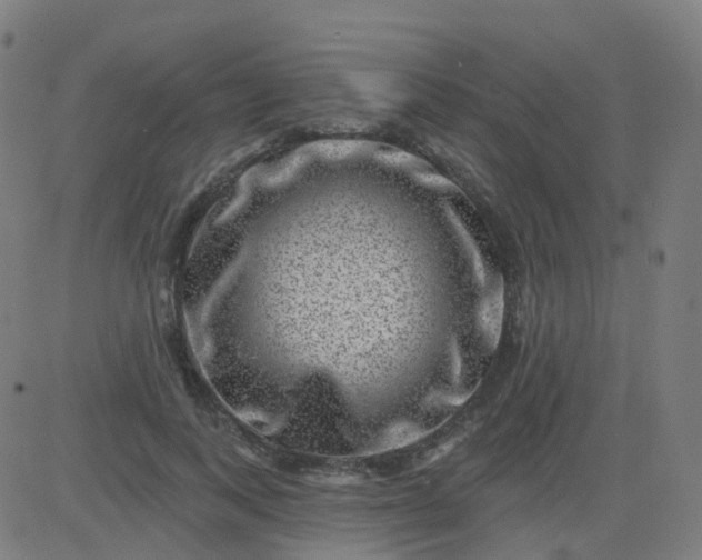X0000082760743200702091953