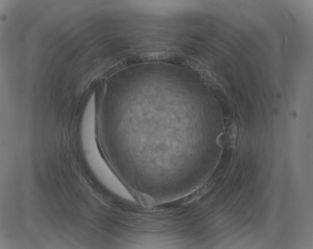 X0000082760746200702091953