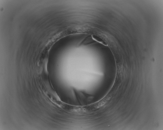 X0000082760752200702091953