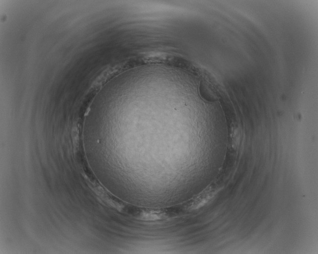 X0000082760753200702091953
