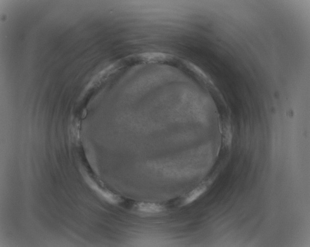 X0000082760766200702091953