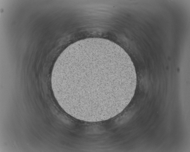 X0000082760769200702091952