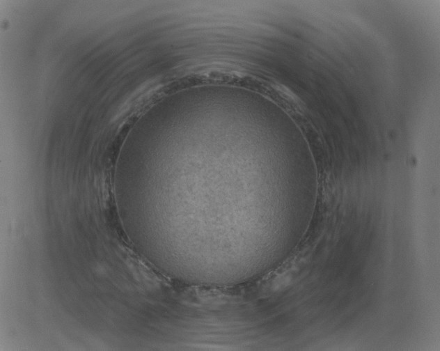 X0000082760774200702091952