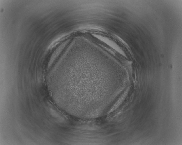 X0000082760775200702091952