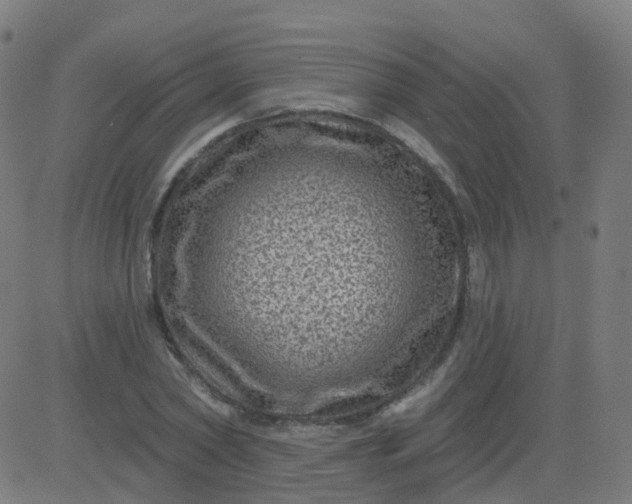 X0000082760782200702091952