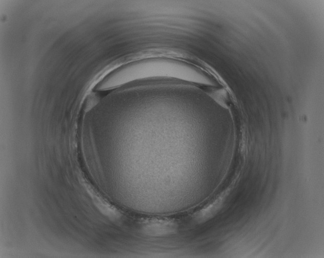 X0000082760786200702091952
