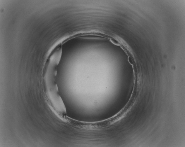 X0000082760789200702091952