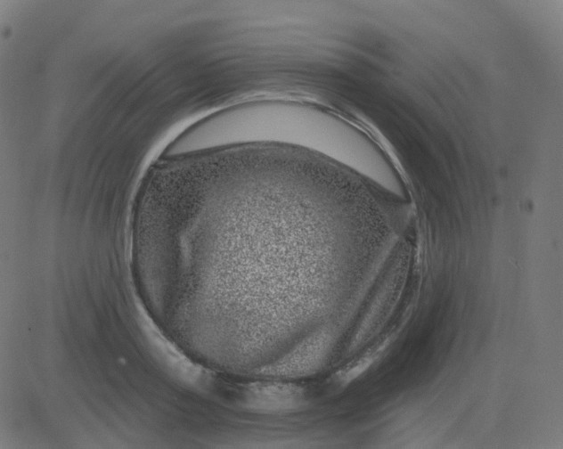 X0000082760795200702091952