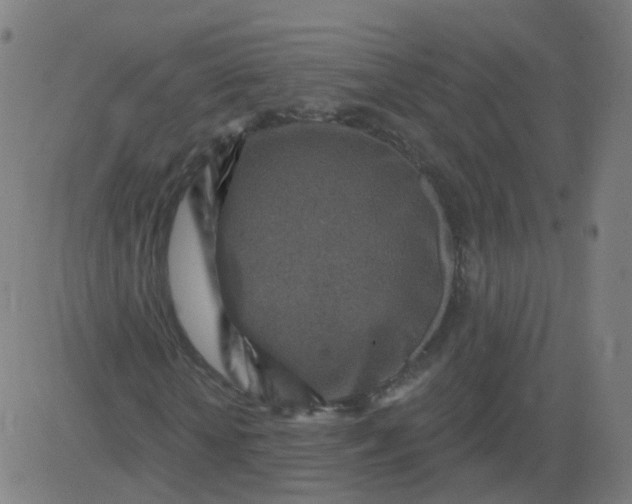 X0000082760818200702091951
