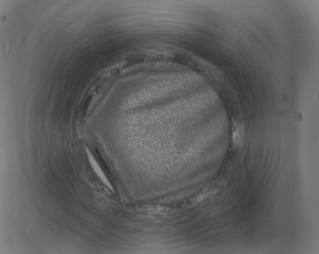 X0000082760819200702091951