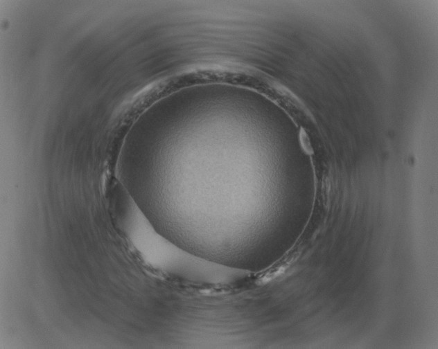 X0000082760822200702091951