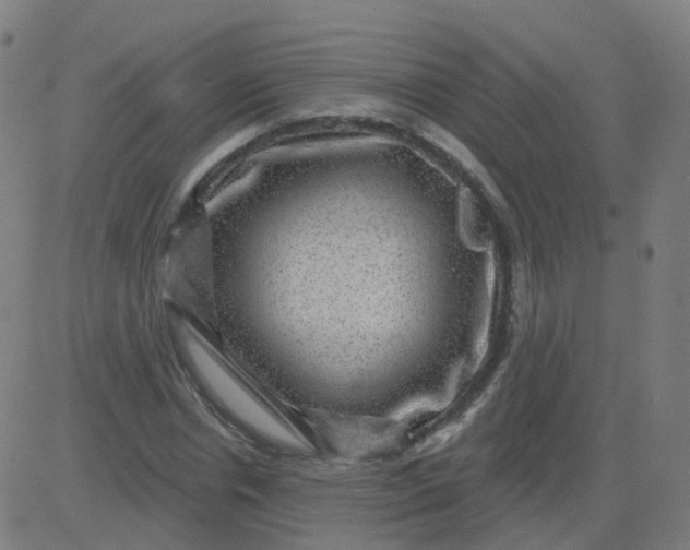 X0000082760826200702091951