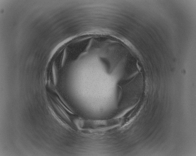 X0000082760838200702091951