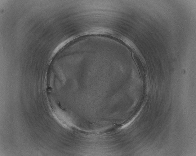 X0000082760842200702091951