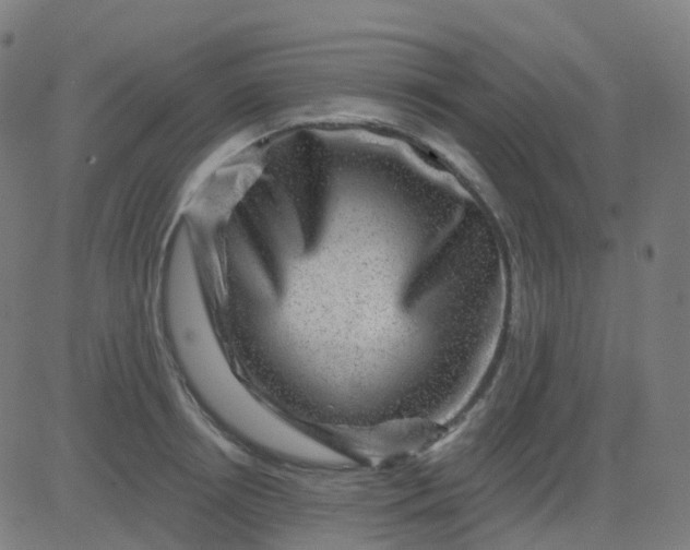 X0000082760850200702091951