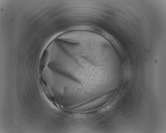 X0000082760852200702091951
