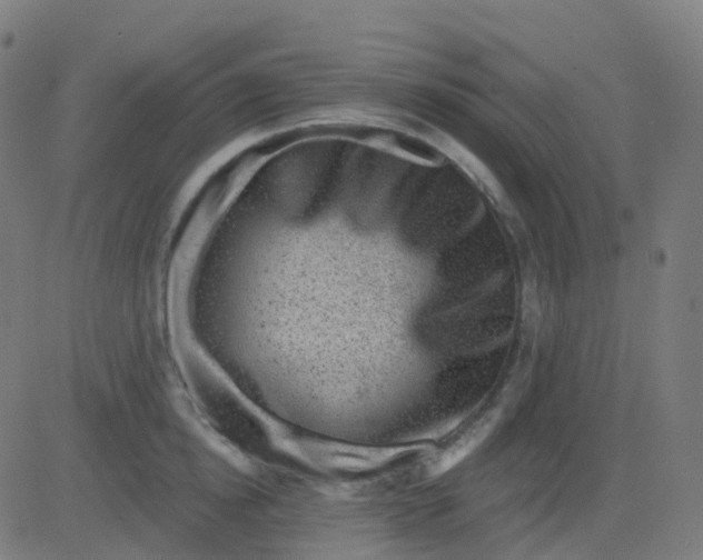 X0000082760854200702091951