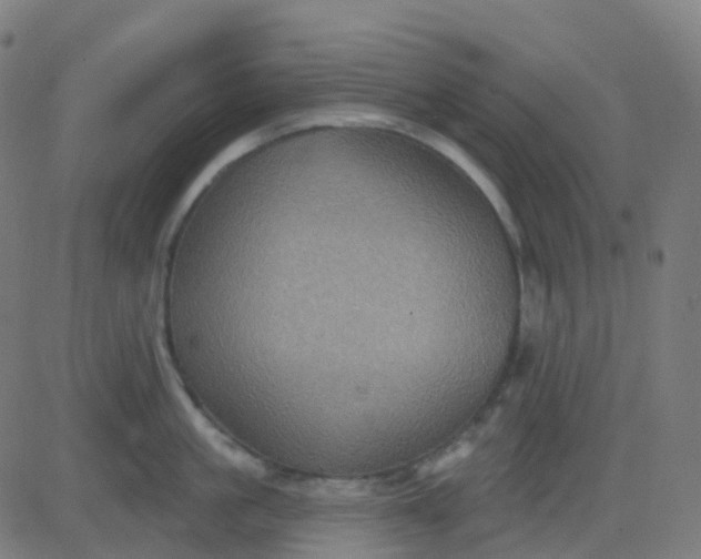 X0000082760861200702091952