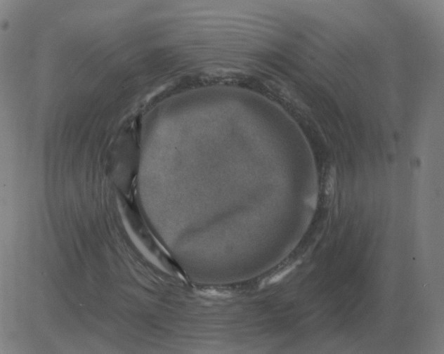 X0000082760868200702091951