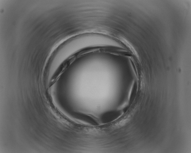 X0000082760876200702091951