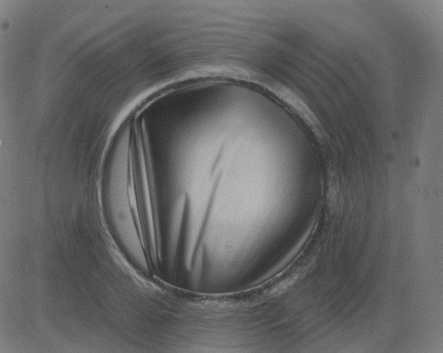 X0000082760888200702091950