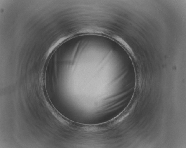 X0000082760893200702091950