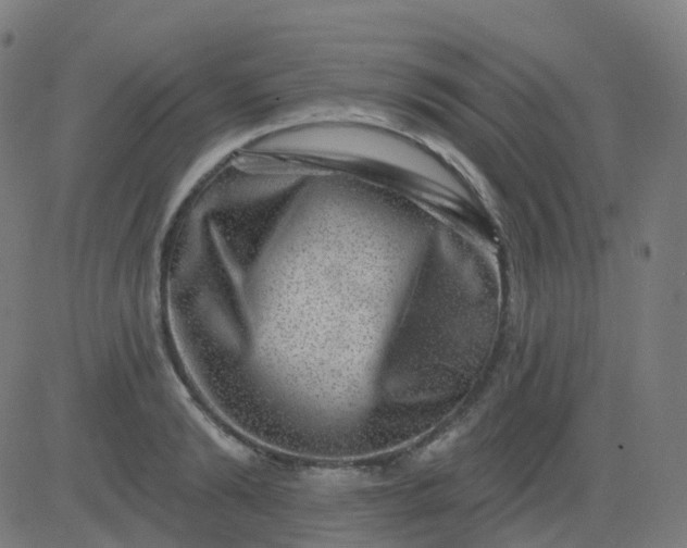 X0000082760894200702091950