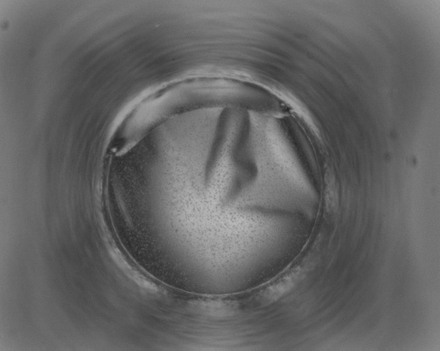 X0000082760896200702091950