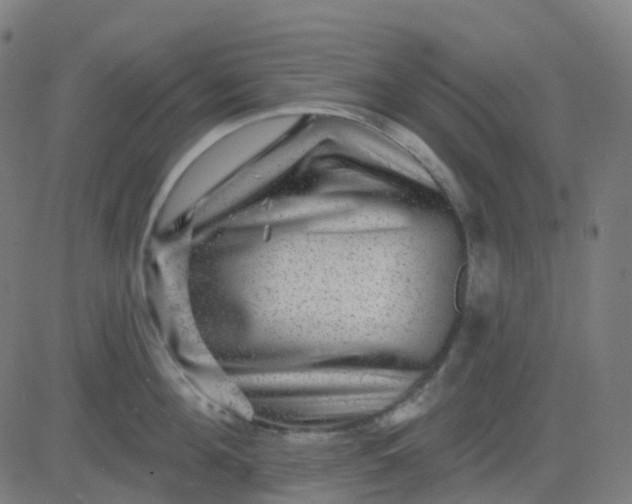 X0000082760908200702091950