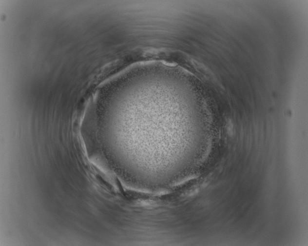 X0000082760914200702091949