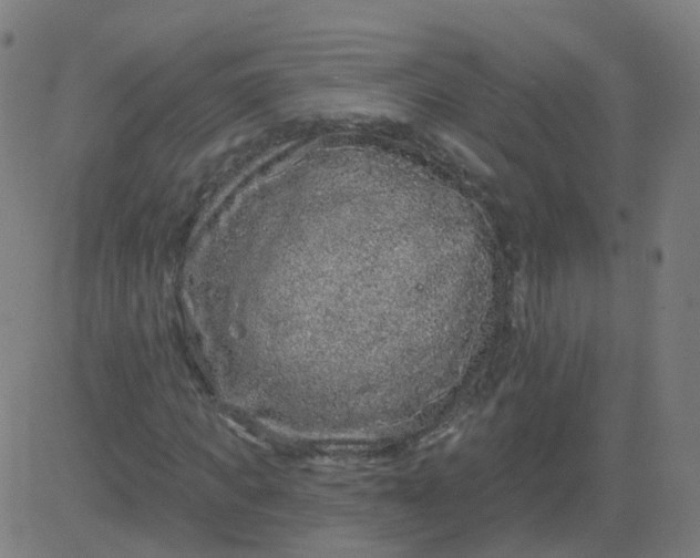 X0000082760917200702091949