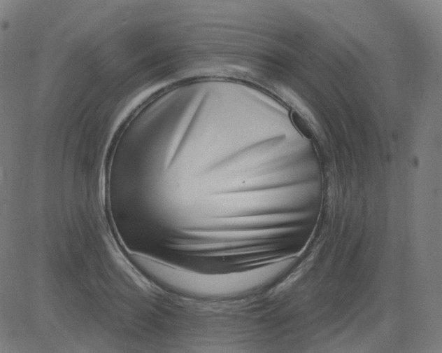 X0000082760940200702091950
