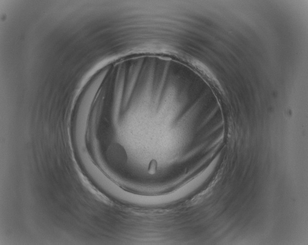 X0000082760942200702091950