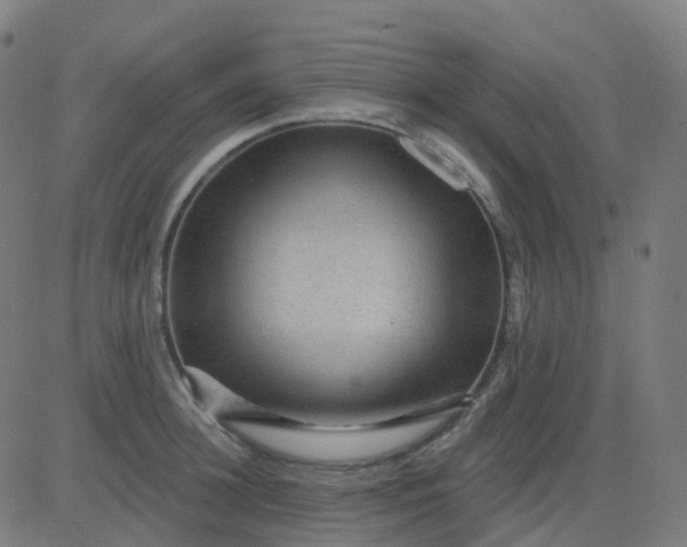 X0000082760948200702091950