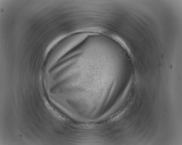 X0000082760952200702091950