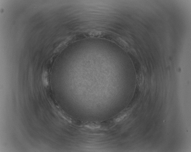 X0000082760962200702091949