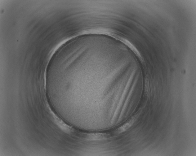 X0000082760988200702091949