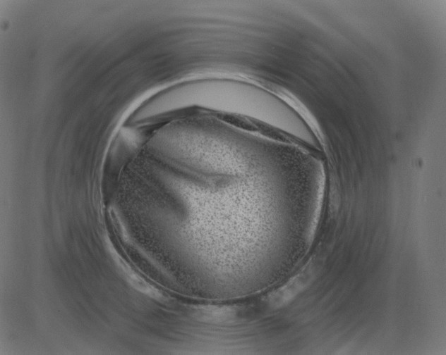 X0000082760996200702091949