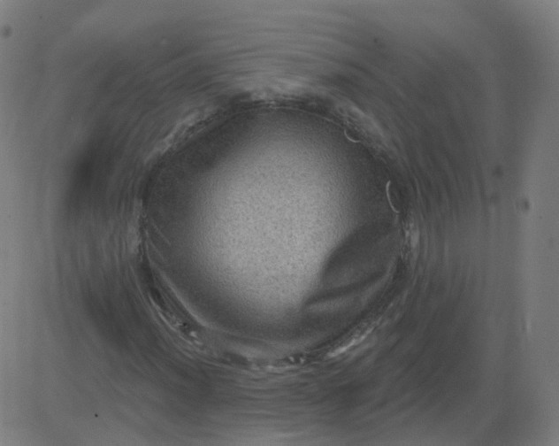 X0000082761012200702091948