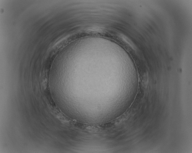 X0000082761015200702091948