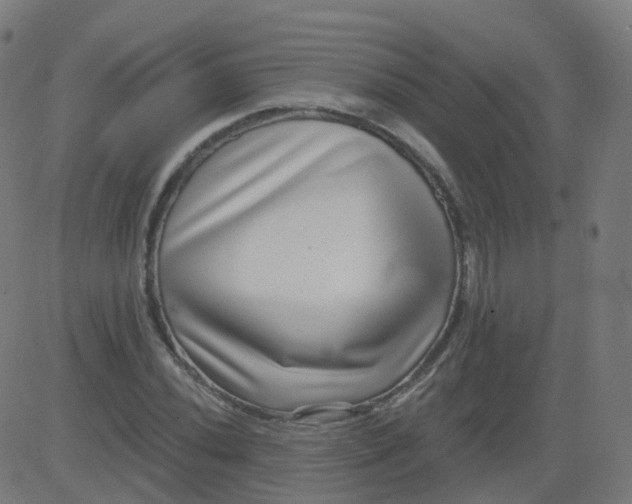 X0000082761020200702091948