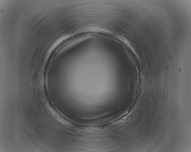 X0000082761024200702091948